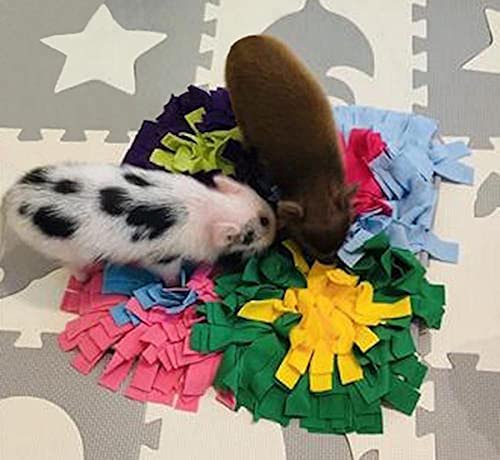 Piggy Poo and Crew Pig Rooting Snuffle Mat Combo Pack, 3 Count