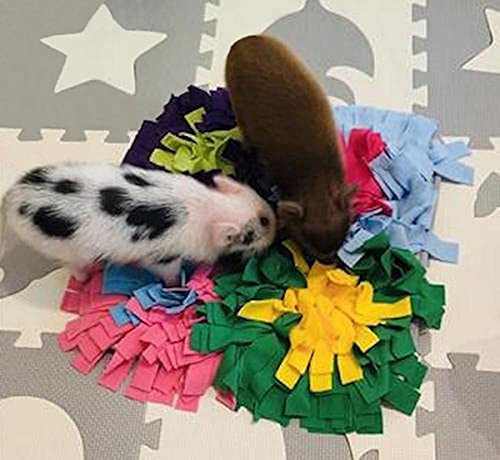 Piggy Poo and Crew Colorful Snuffle Play Mat  Non Skid Backing