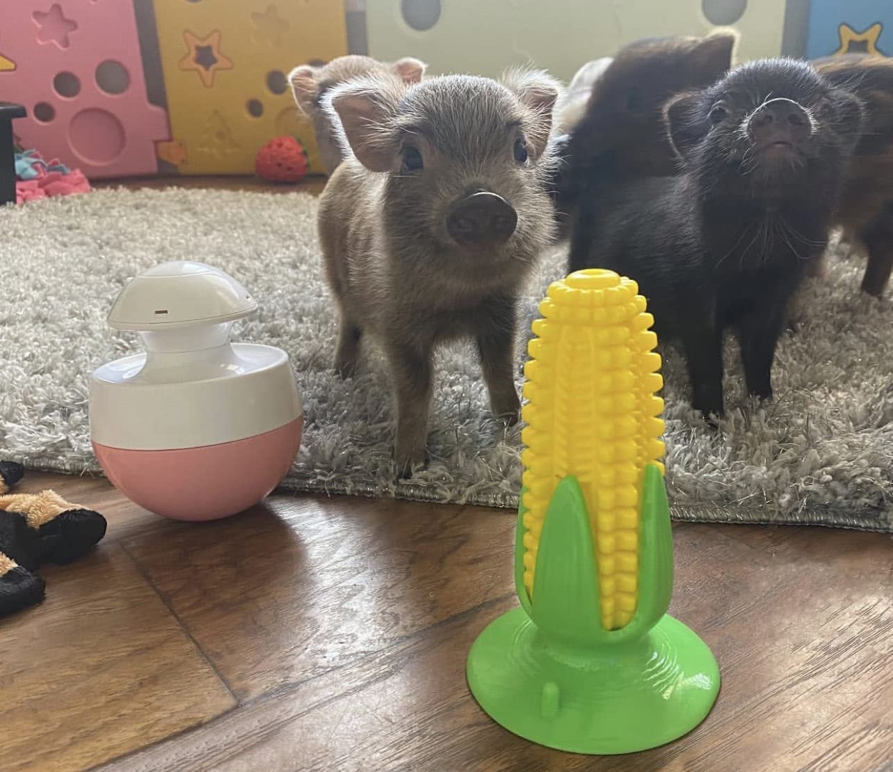 Piggy Poo and Crew Corn Shaped Peanut Butter Chew Toy or Toothpaste Dental Stick - Durable Eco-Friendly Silicone Pet Toy