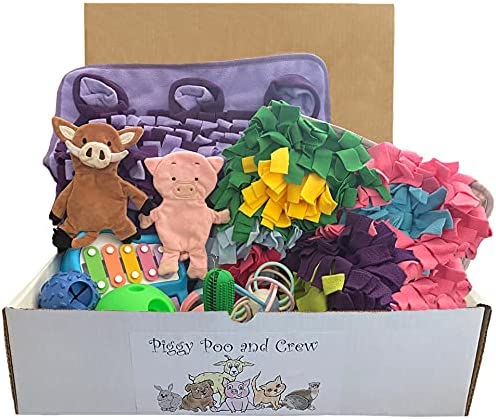 Piggy Poo and Crew Pig Box Bundle of Toys Gift Box