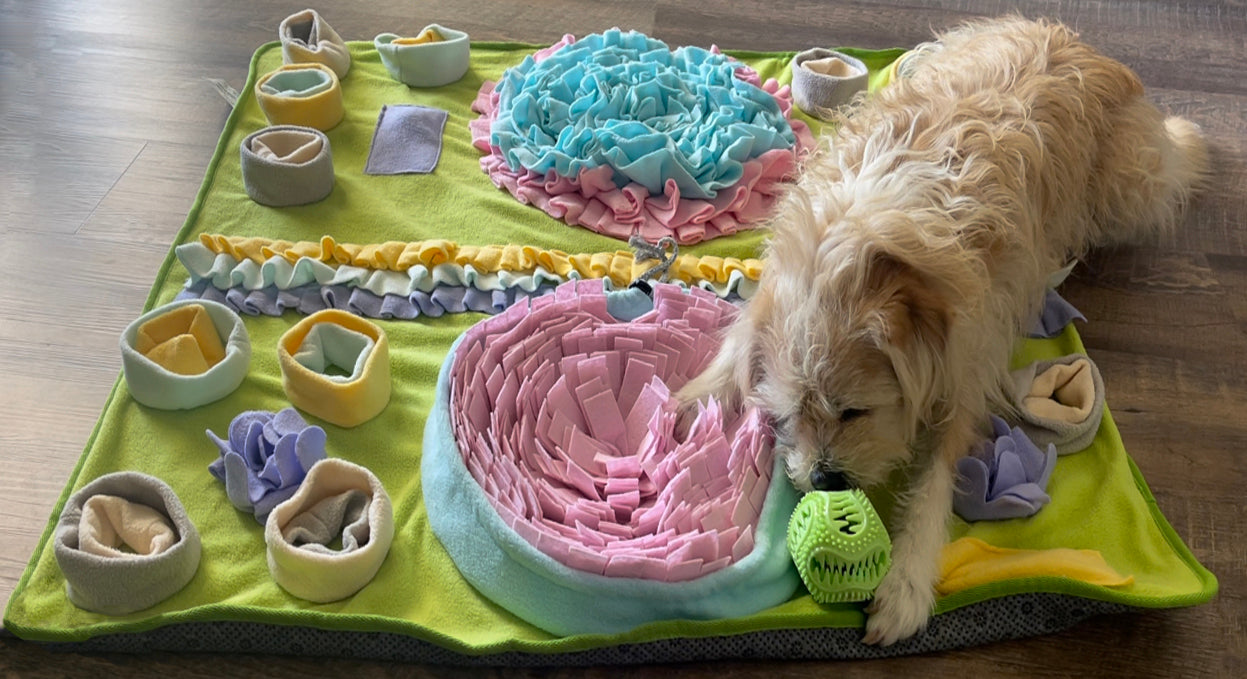 Piggy Poo and Crew Double Bowl Snuffle Mat with a Treat Ball and Squeakers