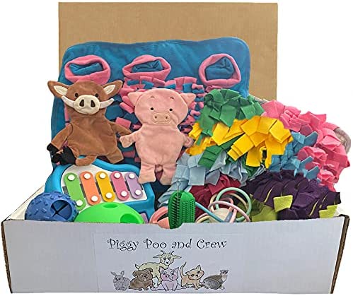 Piggy Poo and Crew Pig Box Bundle of Toys Gift Box