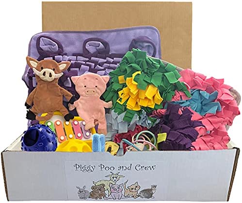 Piggy Poo and Crew Pig Box Bundle of Toys Gift Box