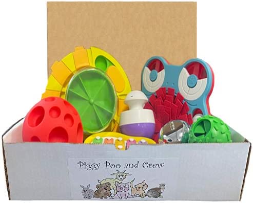 Piggy Poo and Crew Pet Game Box - Mini Pig Box - Dog Box - Gift Box