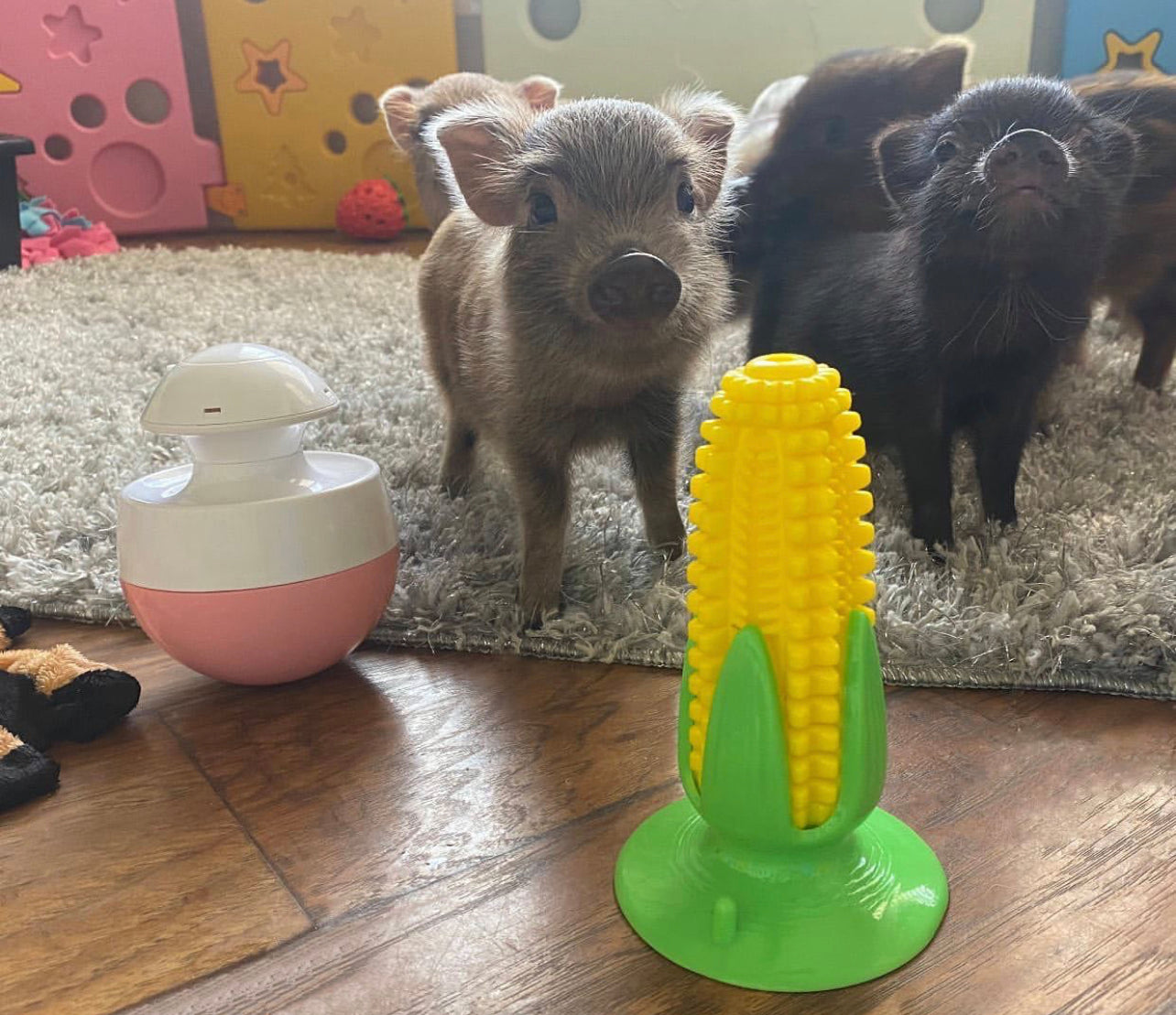 Piggy Poo and Crew Pet Toys Treat Kit