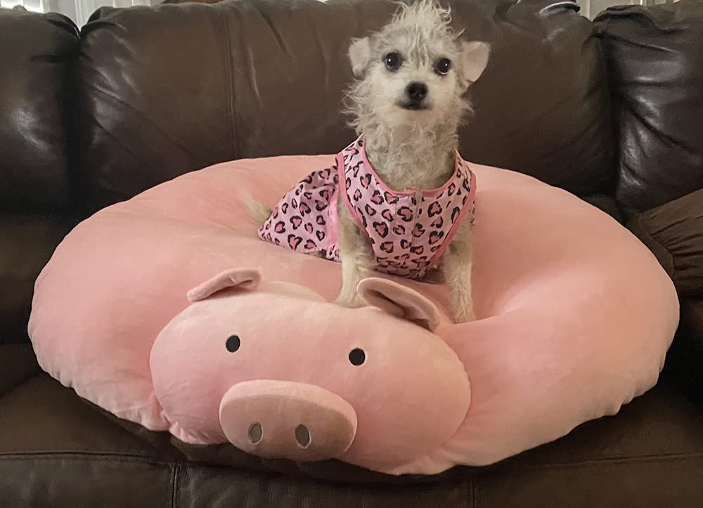Piggy Poo and Crew Large Overstuffed Pig Shaped Pillow