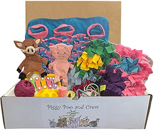 Piggy Poo and Crew Pig Box Bundle of Toys Gift Box