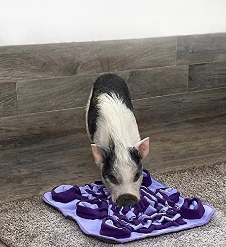 Piggy Poo and Crew Snuffle Mat 4 Pack