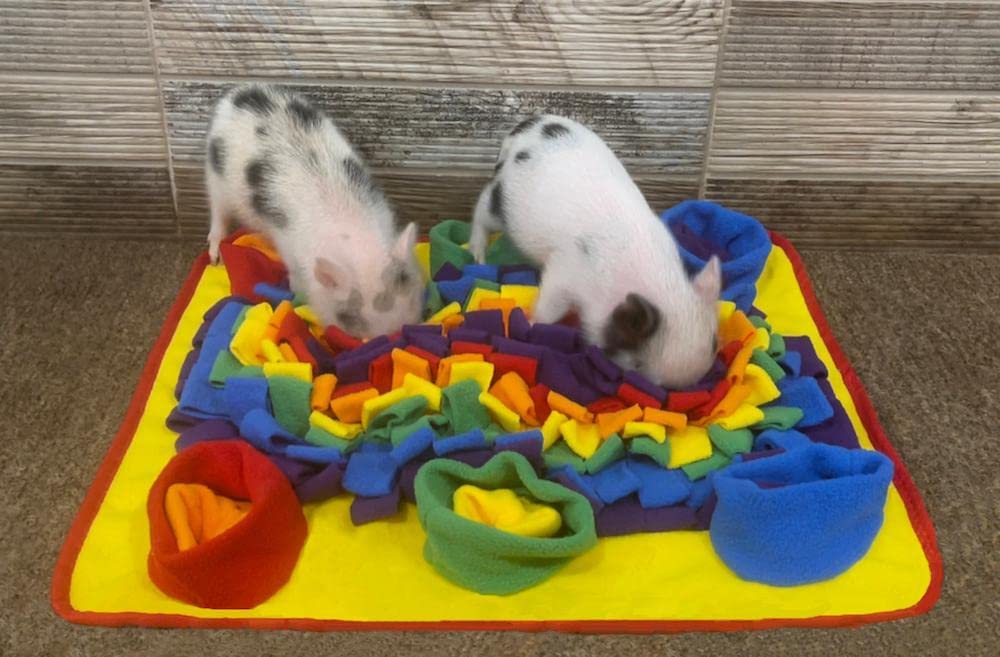 Piggy Poo and Crew Rainbow Pet Snuffle Mat