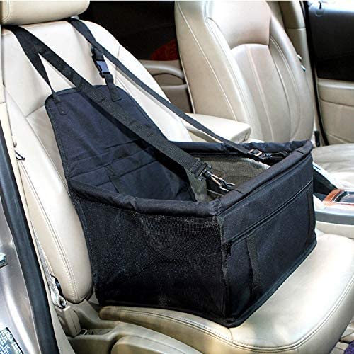 Piggy Poo and Crew Pet Car Seat
